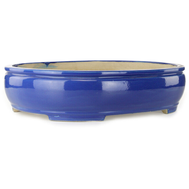 Maceta ovalada azul para bonsái de Mazan - 525 x 437 x 125 mm