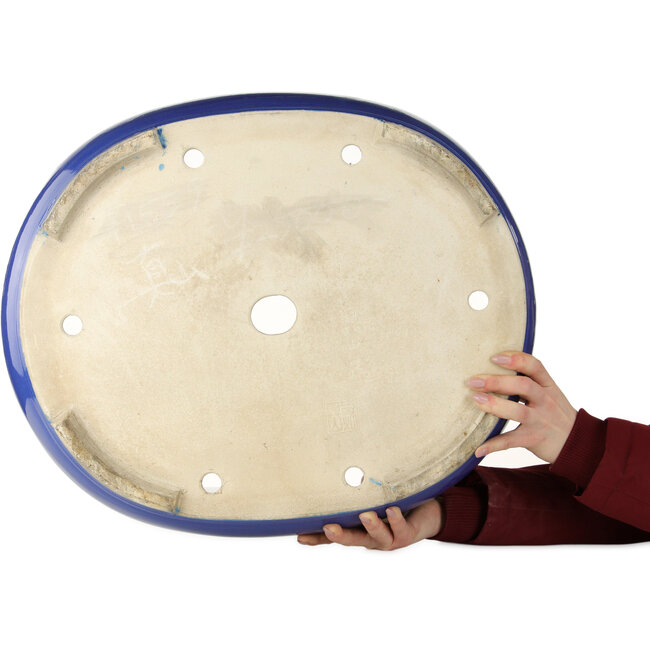 Pot ovale bleu pour bonsaï de Mazan - 525 x 437 x 125 mm