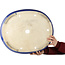 Maceta ovalada azul para bonsái de Mazan - 525 x 437 x 125 mm