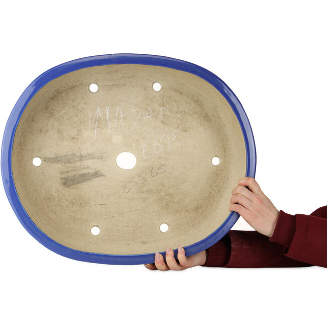 Pot ovale bleu pour bonsaï de Mazan - 525 x 437 x 125 mm