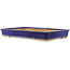 Rectangular blue bonsai pot - 555 x 390 x 75 mm