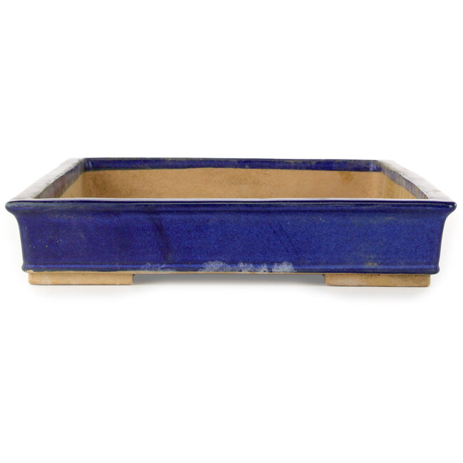 Rechteckiger blauer Bonsai-Topf – 555 x 390 x 75 mm