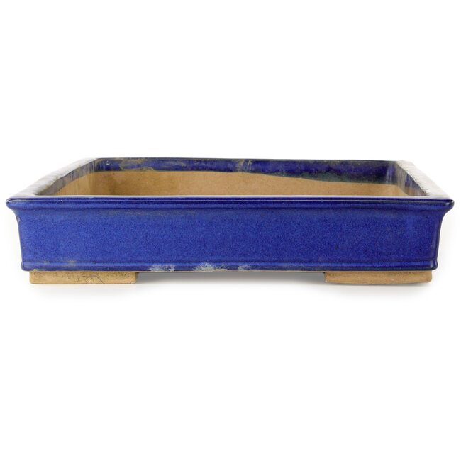 Maceta rectangular azul para bonsái - 555 x 390 x 75 mm