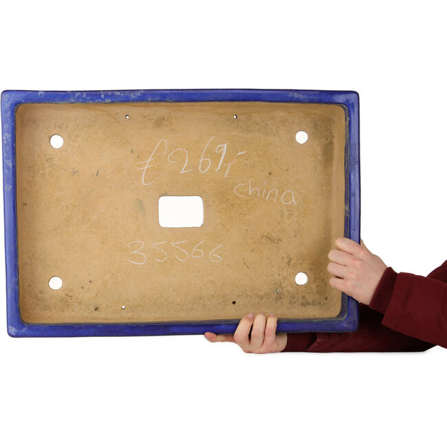Pot à bonsaï rectangulaire bleu - 555 x 390 x 75 mm
