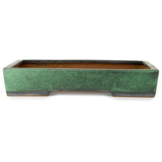  Shuuhou (Hidemi Kataoka) Maceta rectangular verde para bonsái de 570 mm de Shuhou, Tokoname, Japón