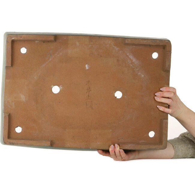 Maceta rectangular verde para bonsái de Shuhou - 570 x 407 x 105 mm