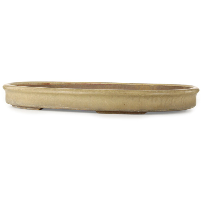 Oval off-white bonsai pot - 665 x 475 x 70 mm