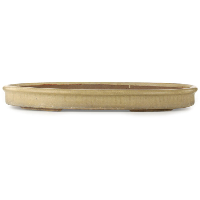 Oval off-white bonsai pot - 665 x 475 x 70 mm