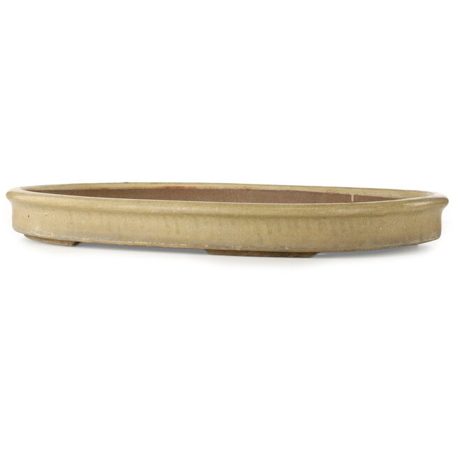 Pot à bonsaï ovale blanc cassé - 665 x 475 x 70 mm