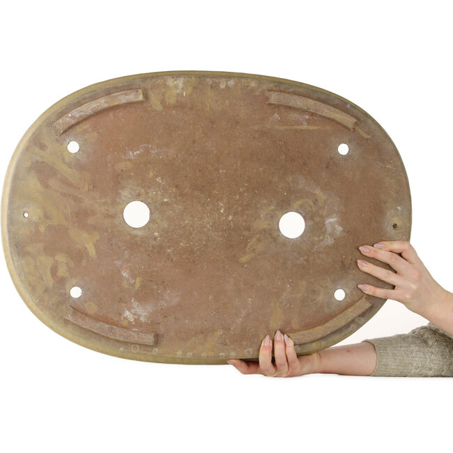 Pot à bonsaï ovale blanc cassé - 665 x 475 x 70 mm