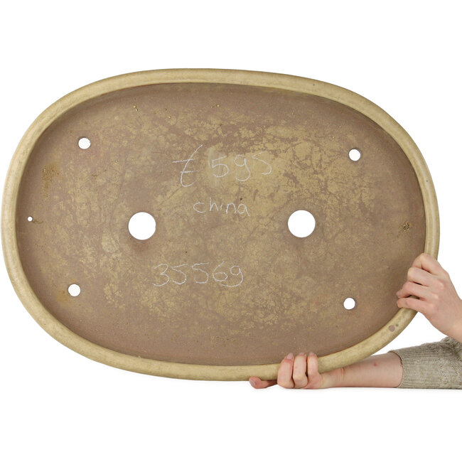 Pot à bonsaï ovale blanc cassé - 665 x 475 x 70 mm