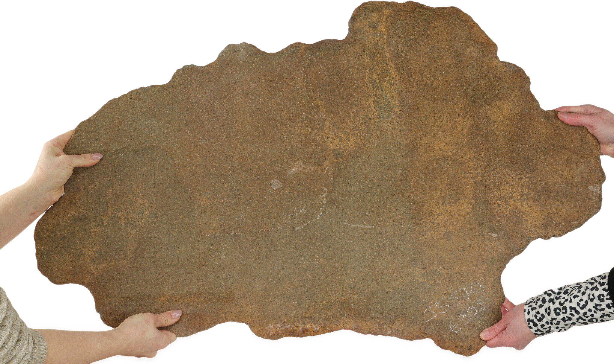 Stone slab | 92 cm | Origin: Japan - Bonsai Plaza