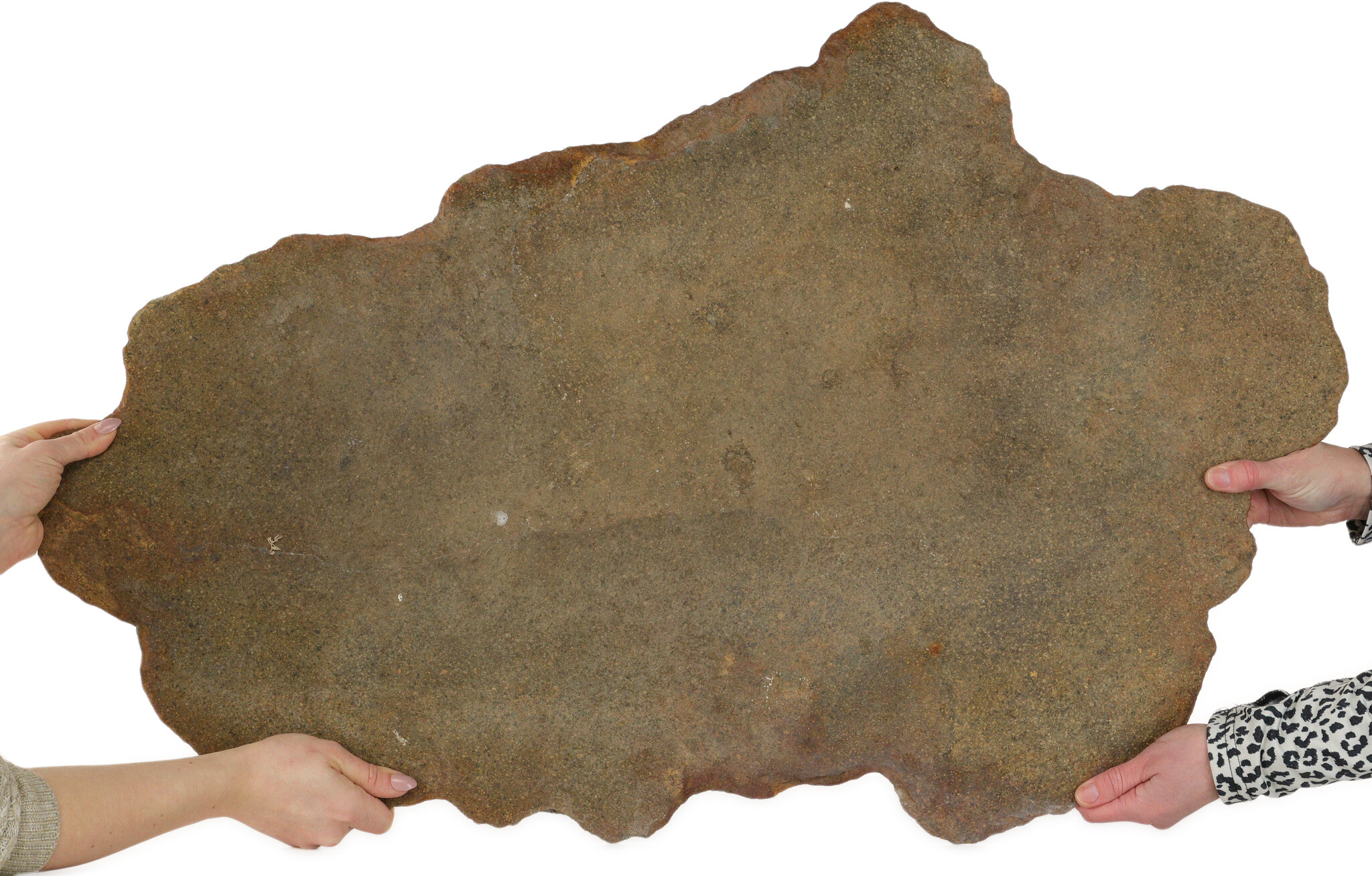 Stone slab | 92 cm | Origin: Japan - Bonsai Plaza