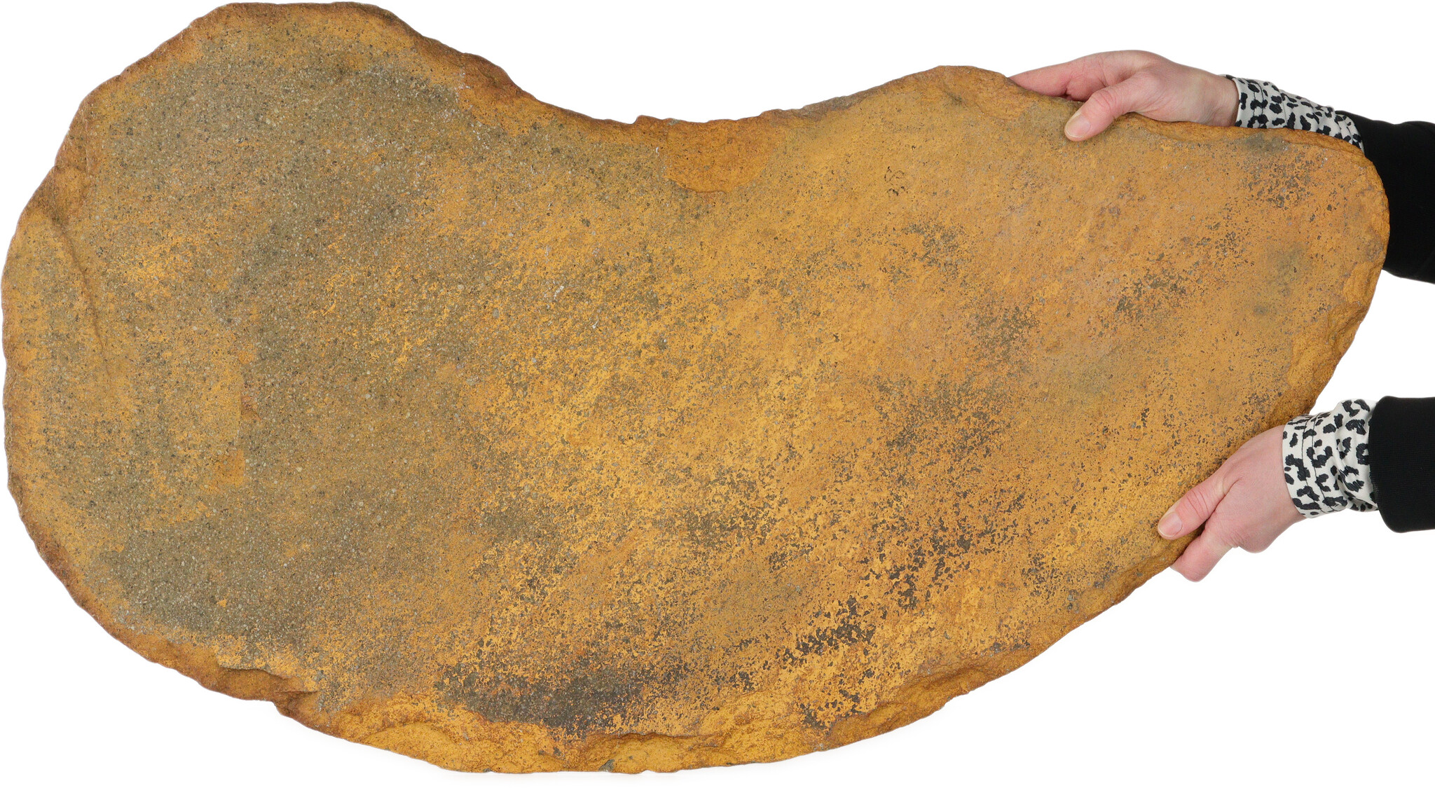 Stone slab | 87 cm | Origin: Japan - Bonsai Plaza