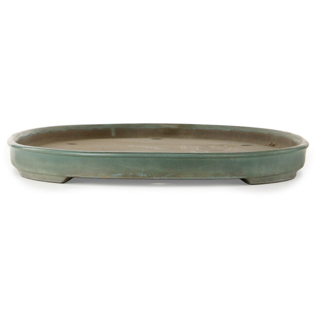 Oval green bonsai pot by Mazan - 760 x 475 x 50 mm