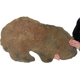 Losa de piedra de 853 mm procedente de Japón