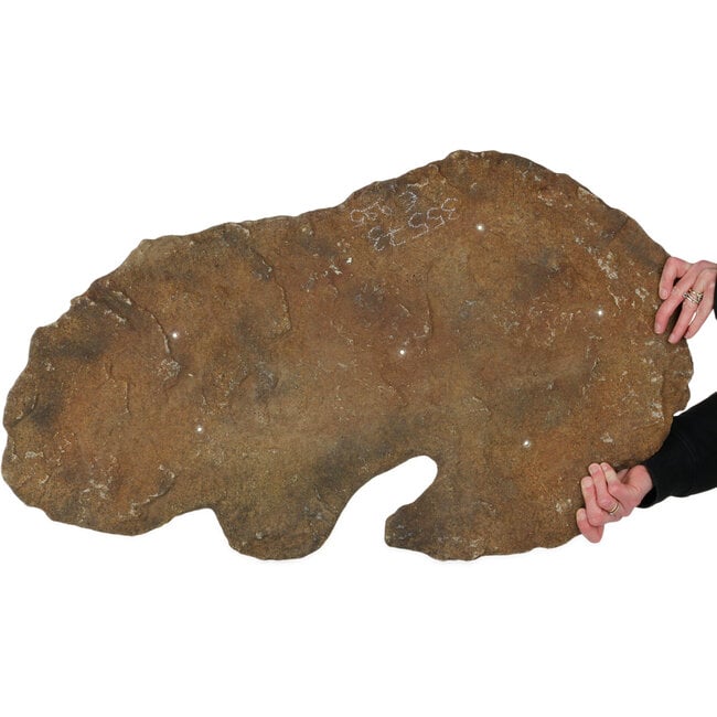 Losa de piedra como base para bonsáis y plantaciones en grupo - 853 x 485 x 25 mm