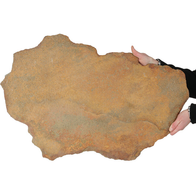 Steenplaat voor bonsai en groepsbeplanting - 735 x 495 x 20 mm