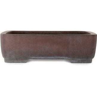  Yamaaki Vaso bonsai rettangolare non smaltato da 560 mm di Yamaaki, Tokoname, Giappone