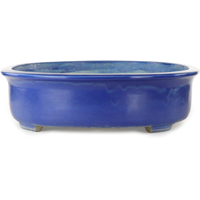 Ovale blauwe bonsaipot van Mazan - 685 x 540 x 145 mm