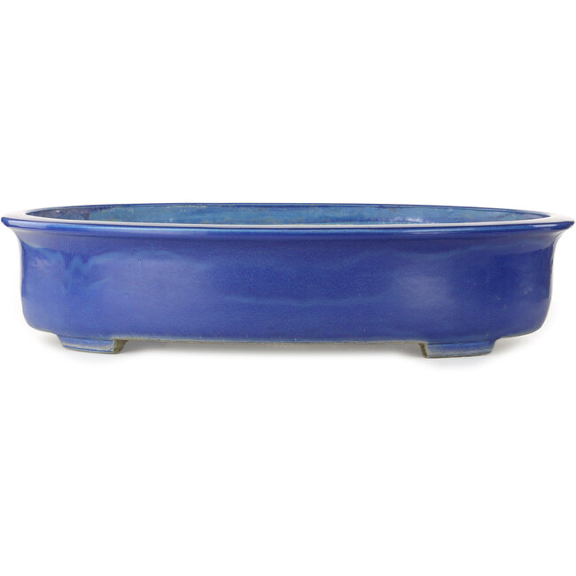 Vaso bonsai ovale blu di Mazan - 685 x 540 x 145 mm