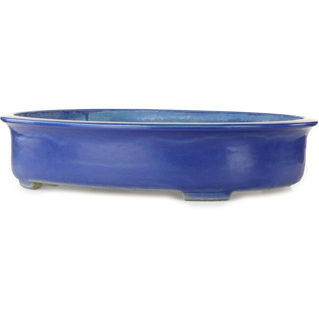 Pot ovale bleu pour bonsaï de Mazan - 685 x 540 x 145 mm