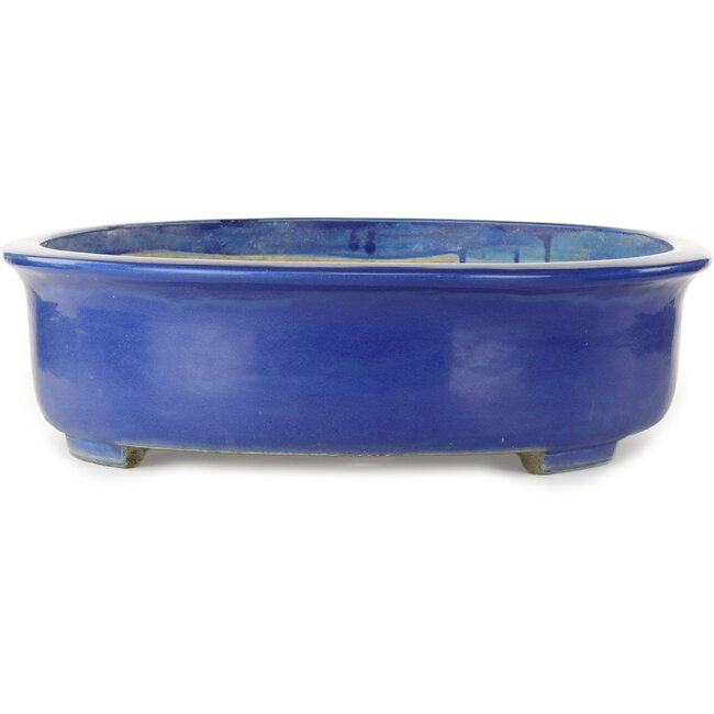 Ovaler blauer Bonsai-Topf von Mazan – 685 x 540 x 145 mm