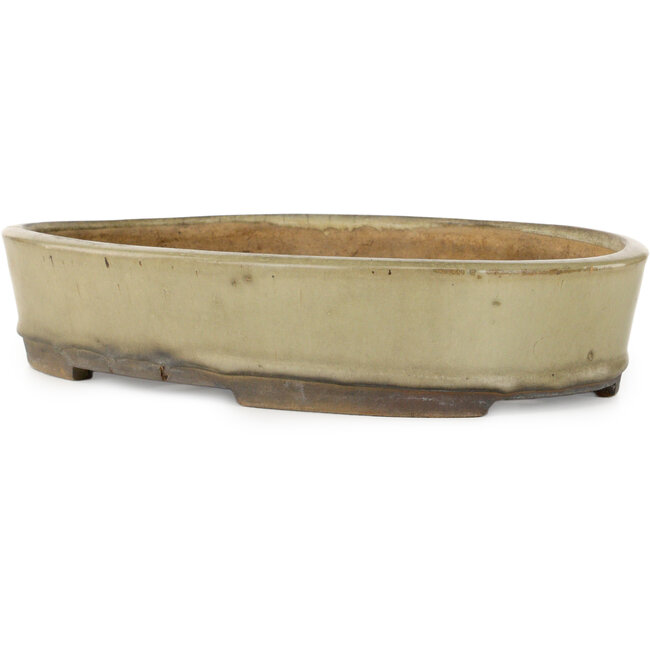 Maceta para bonsái ovalada blanco roto de Nakawatari - 370 x 255 x 68 mm