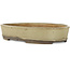 Pot à bonsaï ovale blanc cassé par Nakawatari - 370 x 255 x 68 mm