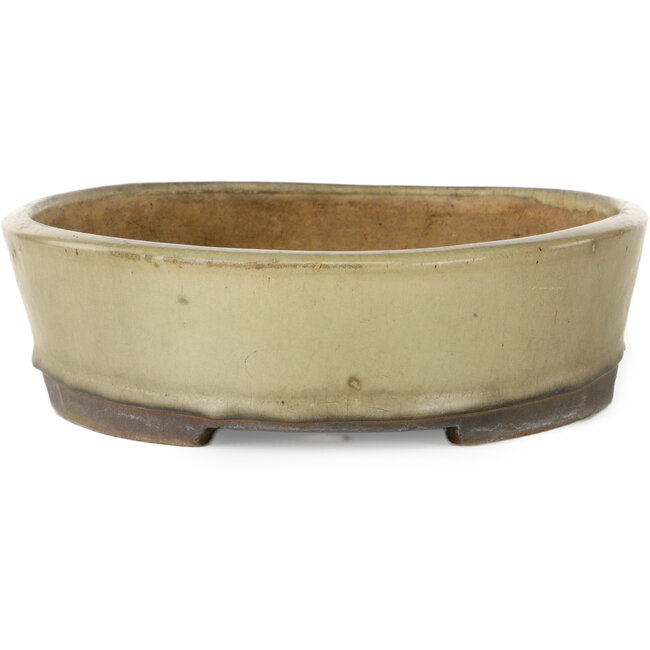 Ovaler, cremefarbener Bonsaitopf von Nakawatari – 370 x 255 x 68 mm