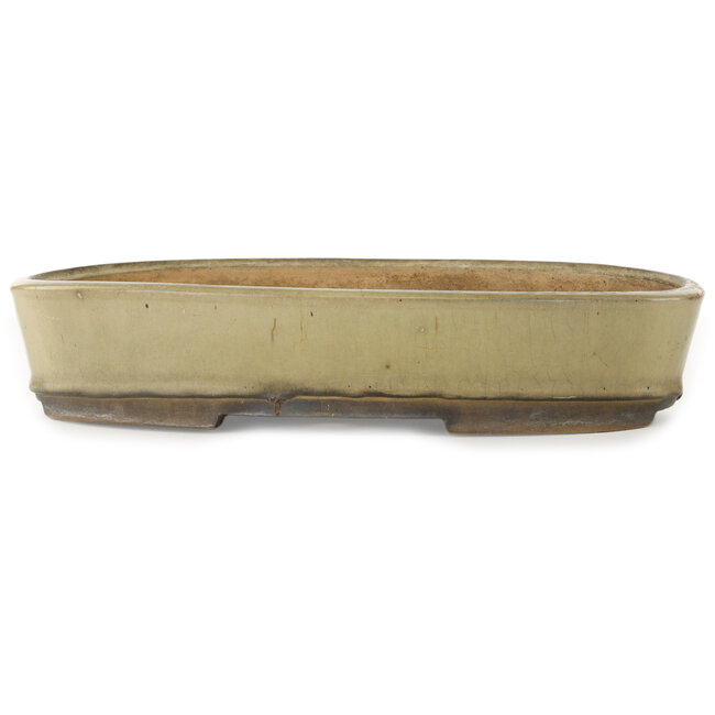 Ovaler, cremefarbener Bonsaitopf von Nakawatari – 370 x 255 x 68 mm