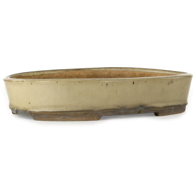 Maceta para bonsái ovalada blanco roto de Nakawatari - 370 x 255 x 68 mm