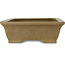 Vaso bonsai rettangolare non smaltato di Maruhei - 445 x 330 x 108 mm