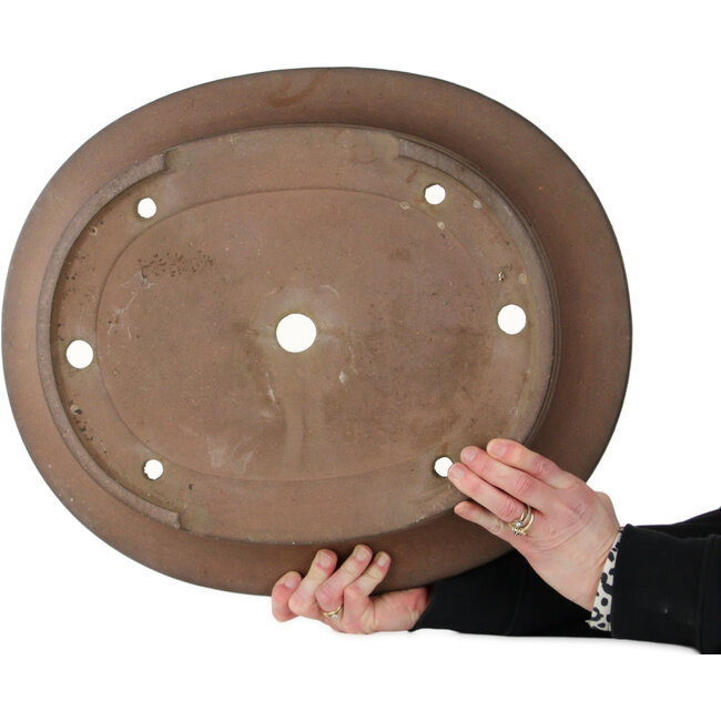 Maceta ovalada sin esmaltar para bonsái - 500 x 415 x 98 mm