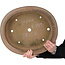 Pot ovale non émaillé pour bonsaï - 500 x 415 x 98 mm