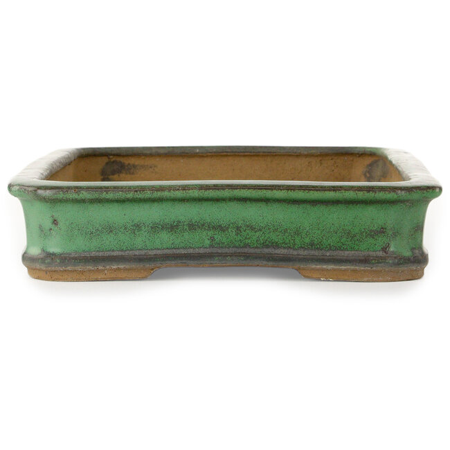 Pot à bonsaï rectangulaire vert de Shuhou - 422 x 285 x 65 mm