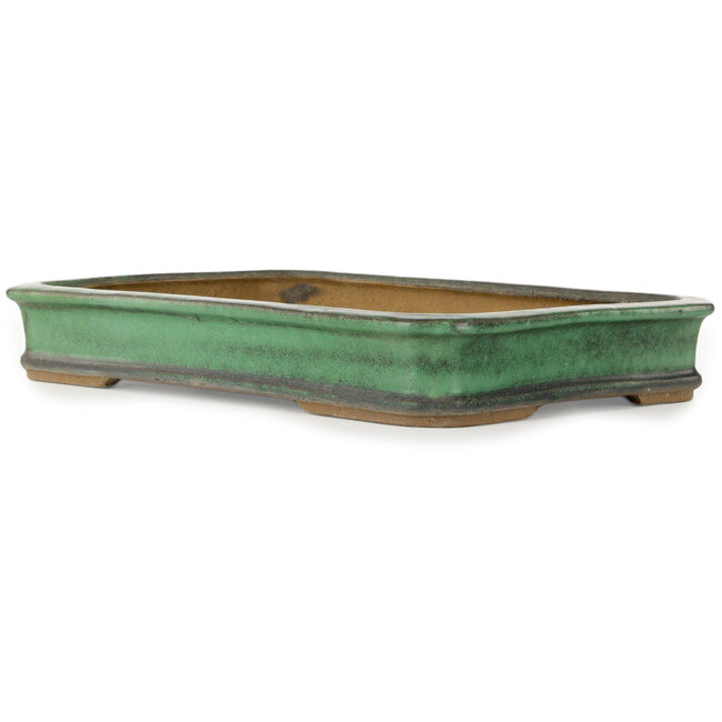 Rectangular green bonsai pot by Shuhou - 422 x 285 x 65 mm