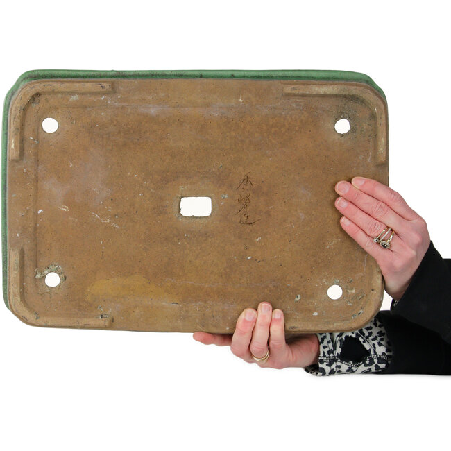 Maceta rectangular verde para bonsái de Shuhou - 422 x 285 x 65 mm