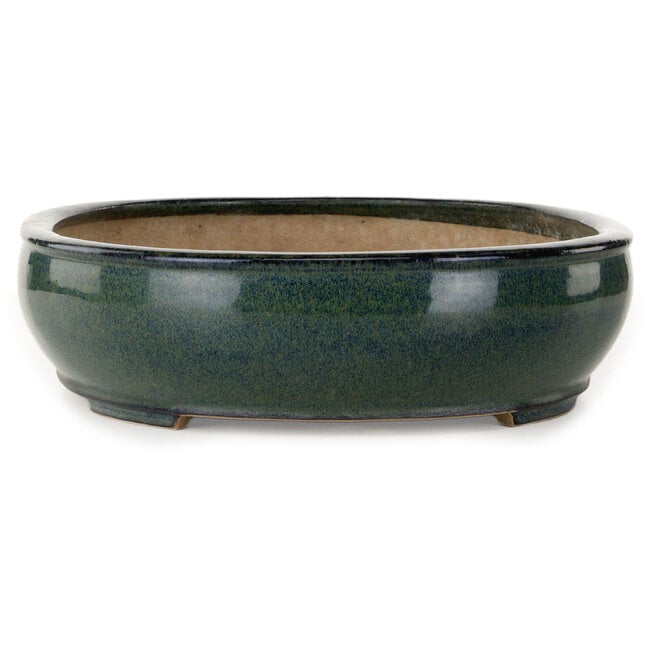 Maceta ovalada para bonsái verde de Seizan (Reihou, Kataoka Katsushi, maestro del horno Seizan) - 445 x 355 x 95 mm