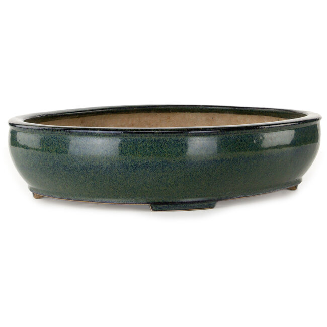 Vaso bonsai ovale verde di Seizan (Reihou, Kataoka Katsushi, fornace del maestro Seizan) - 445 x 355 x 95 mm