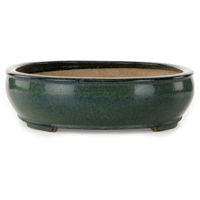Pot à bonsaï ovale vert par Seizan (Reihou, Kataoka Katsushi, maître four Seizan) - 445 x 355 x 95 mm