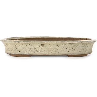 Yoshimura Shuuhou, 2nd generation. Kataoka Susumu Vaso bonsai ovale bianco sporco da 357 mm di Yoshimura Shuuhou, 2a generazione. Kataoka Susumu, Giappone