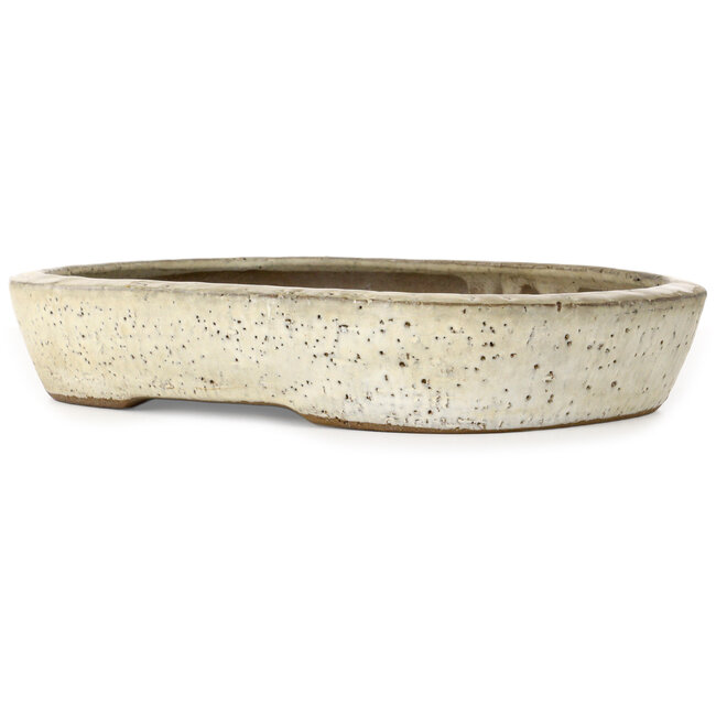 Vaso bonsai ovale bianco sporco di Yoshimura Shuuhou, 2a generazione. Kataoka Susumu - 355 x 265 x 60 mm