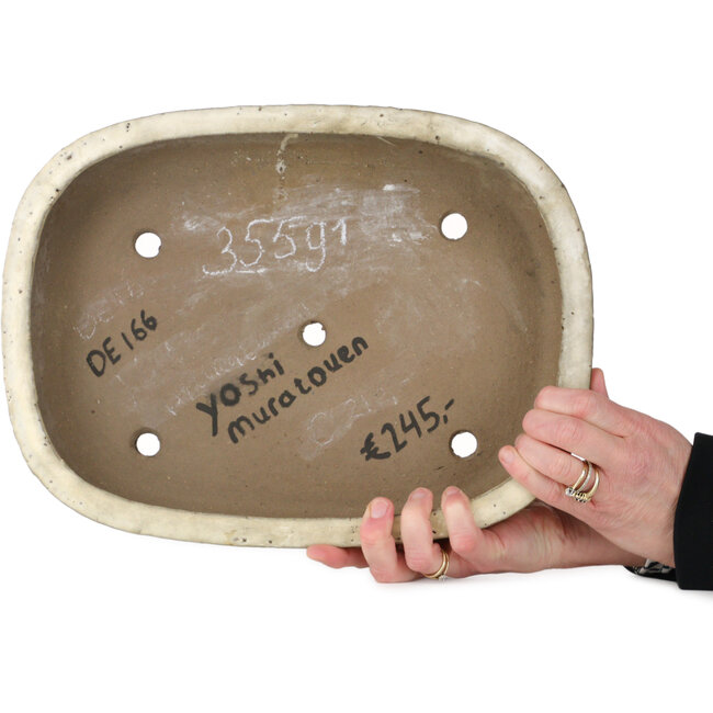 Pot à bonsaï ovale blanc cassé par Yoshimura Shuuhou, 2ème génération. Kataoka Susumu - 355 x 265 x 60 mm