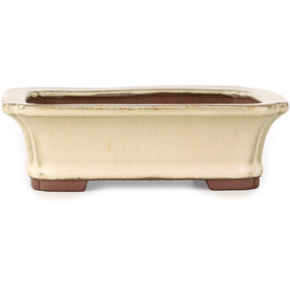  Yamaaki Vaso bonsai rettangolare bianco sporco da 155 mm di Yamaaki, Tokoname, Giappone