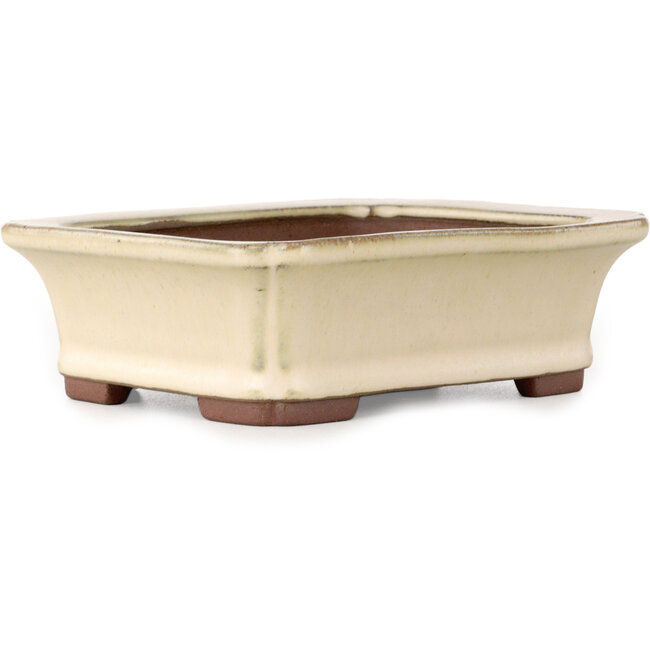 Rechteckiger, cremefarbener Bonsai-Topf von Yamaaki – 155 x 123 x 47 mm