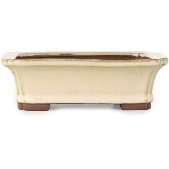 Vaso bonsai rettangolare bianco sporco di Yamaaki - 155 x 123 x 47 mm