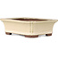Maceta rectangular para bonsái en color blanco roto de Yamaaki - 155 x 123 x 47 mm