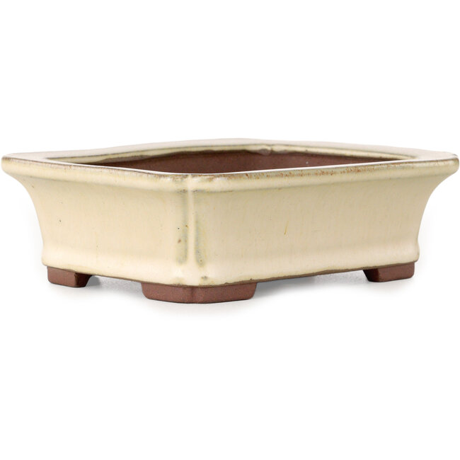 Pot à bonsaï rectangulaire blanc cassé de Yamaaki - 155 x 123 x 47 mm
