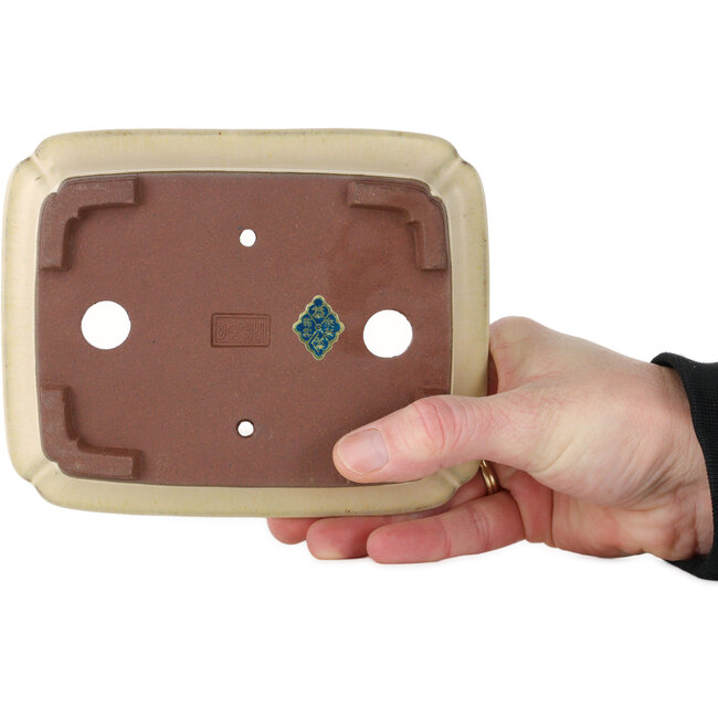 Pot à bonsaï rectangulaire blanc cassé de Yamaaki - 155 x 123 x 47 mm